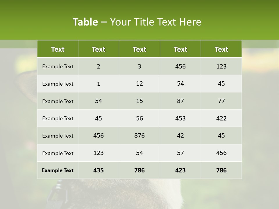 A Dog Sitting In The Grass Powerpoint Template PowerPoint Template