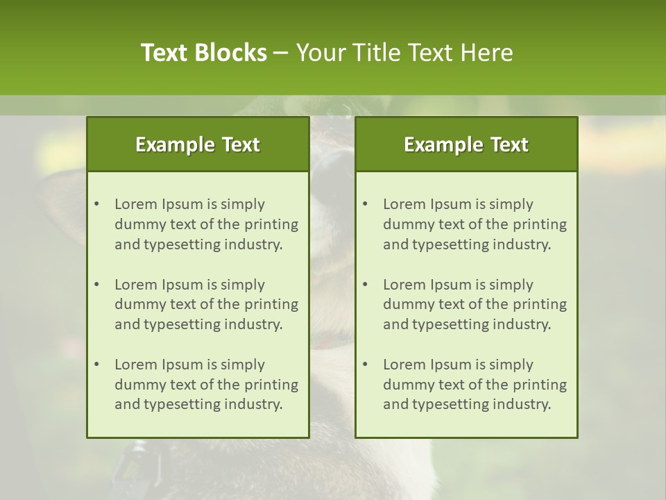 A Dog Sitting In The Grass Powerpoint Template PowerPoint Template