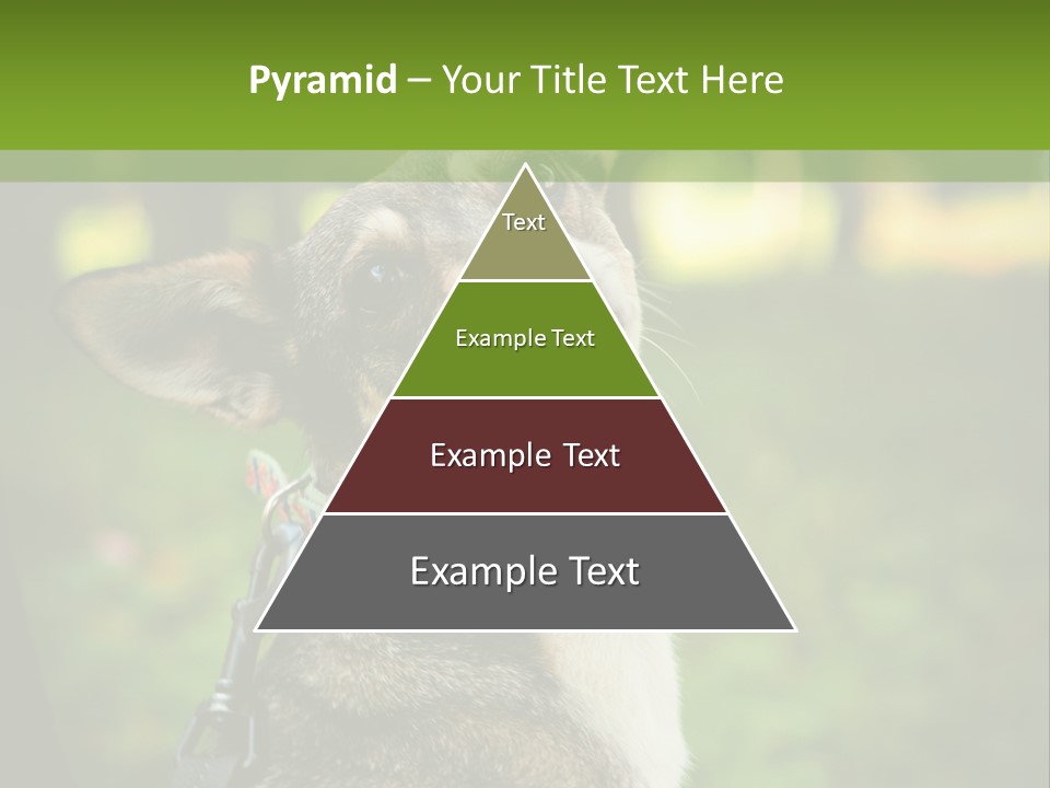 A Dog Sitting In The Grass Powerpoint Template PowerPoint Template