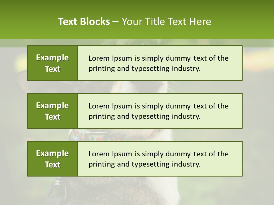 A Dog Sitting In The Grass Powerpoint Template PowerPoint Template