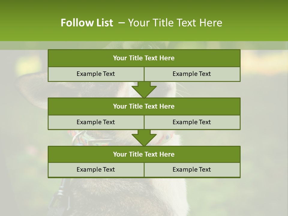 A Dog Sitting In The Grass Powerpoint Template PowerPoint Template