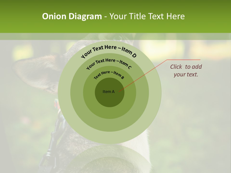 A Dog Sitting In The Grass Powerpoint Template PowerPoint Template