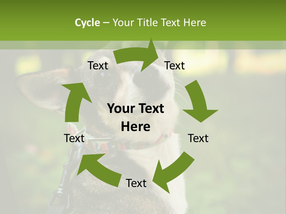 A Dog Sitting In The Grass Powerpoint Template PowerPoint Template