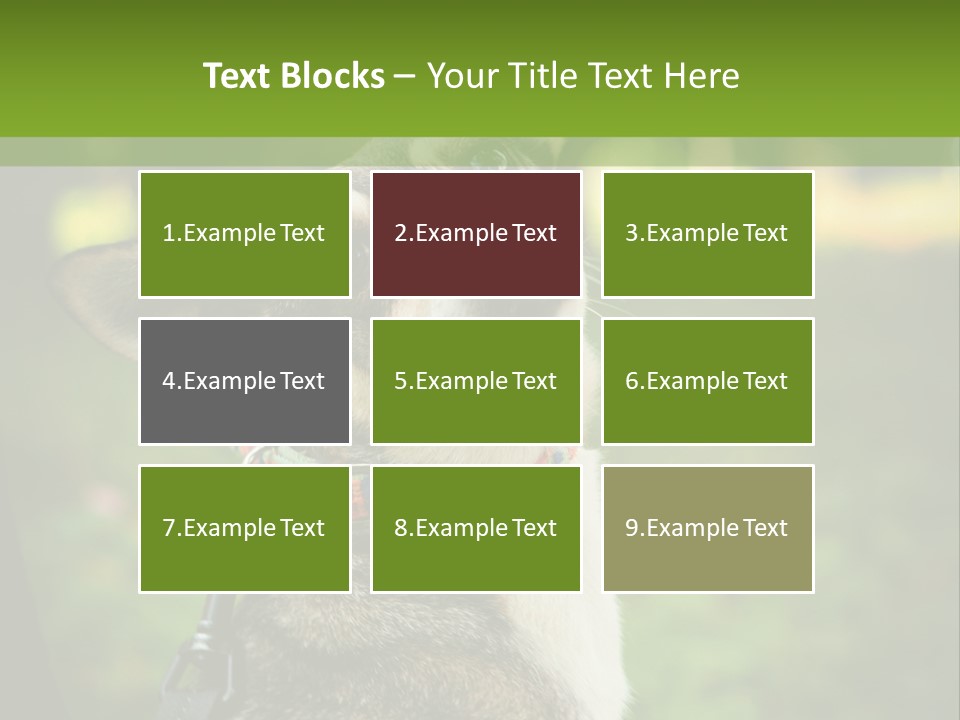 A Dog Sitting In The Grass Powerpoint Template PowerPoint Template