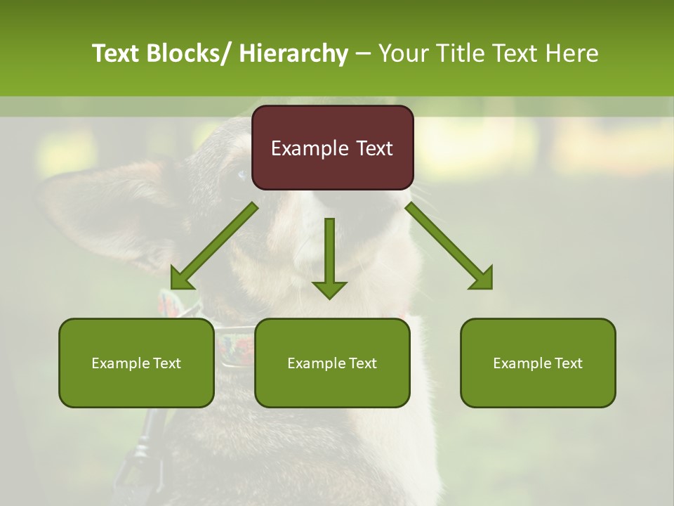 A Dog Sitting In The Grass Powerpoint Template PowerPoint Template