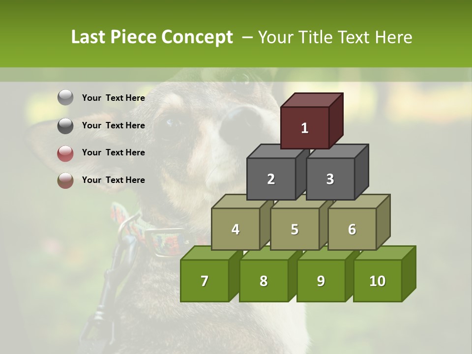 A Dog Sitting In The Grass Powerpoint Template PowerPoint Template