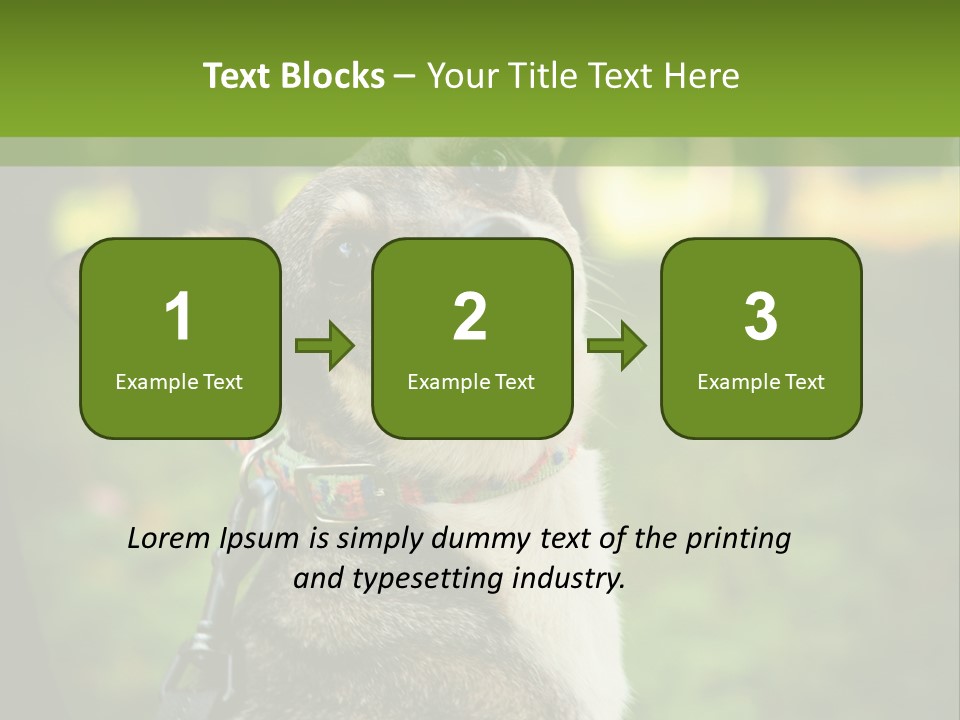 A Dog Sitting In The Grass Powerpoint Template PowerPoint Template