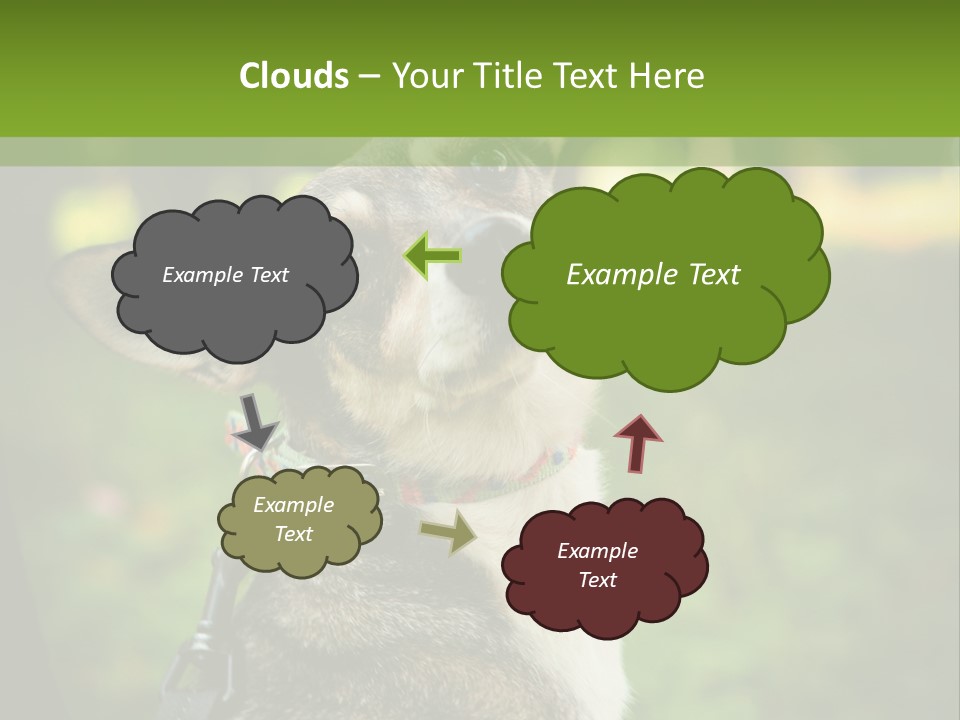 A Dog Sitting In The Grass Powerpoint Template PowerPoint Template