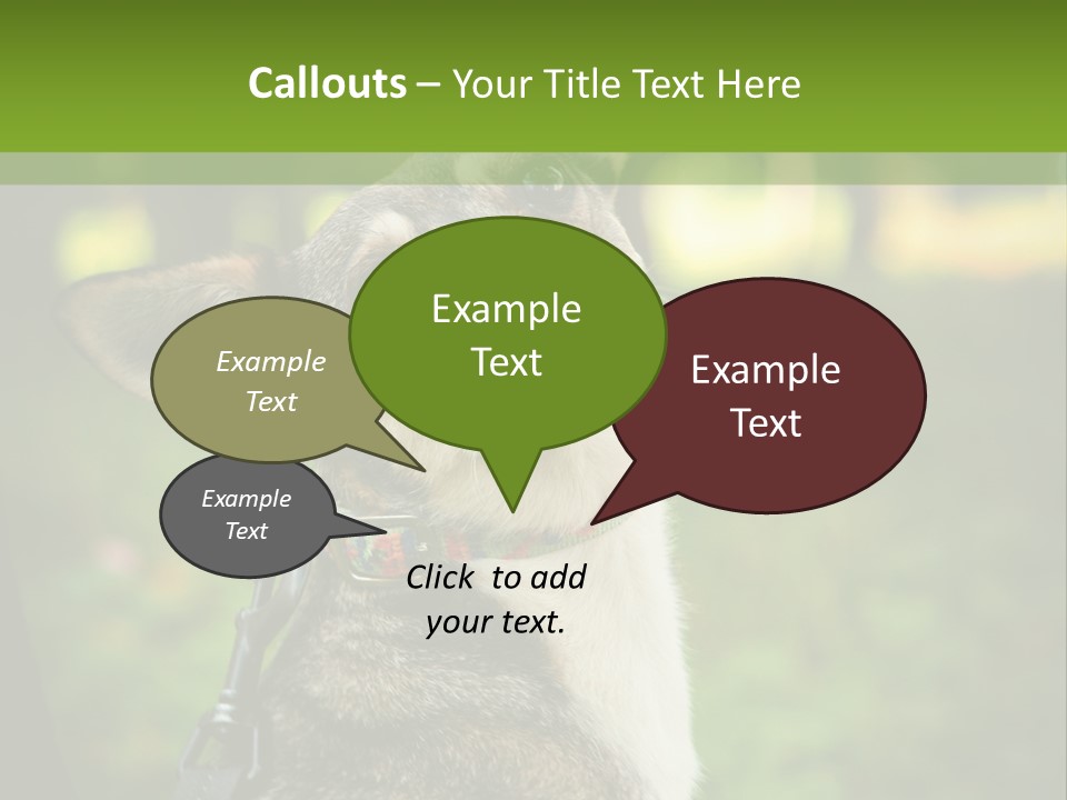 A Dog Sitting In The Grass Powerpoint Template PowerPoint Template