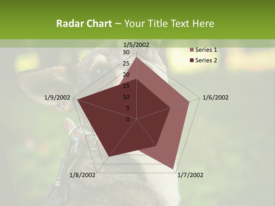 A Dog Sitting In The Grass Powerpoint Template PowerPoint Template