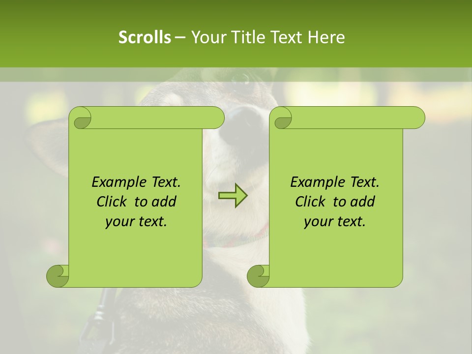 A Dog Sitting In The Grass Powerpoint Template PowerPoint Template