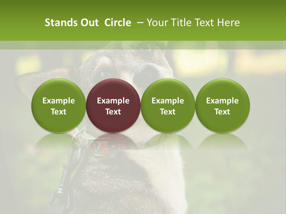 A Dog Sitting In The Grass Powerpoint Template PowerPoint Template