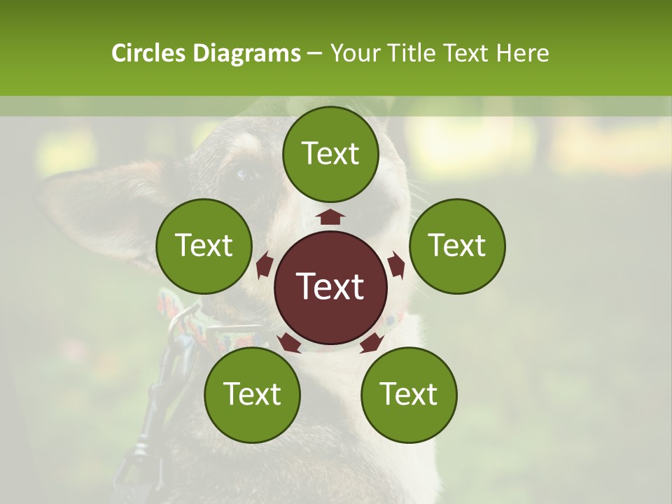 A Dog Sitting In The Grass Powerpoint Template PowerPoint Template