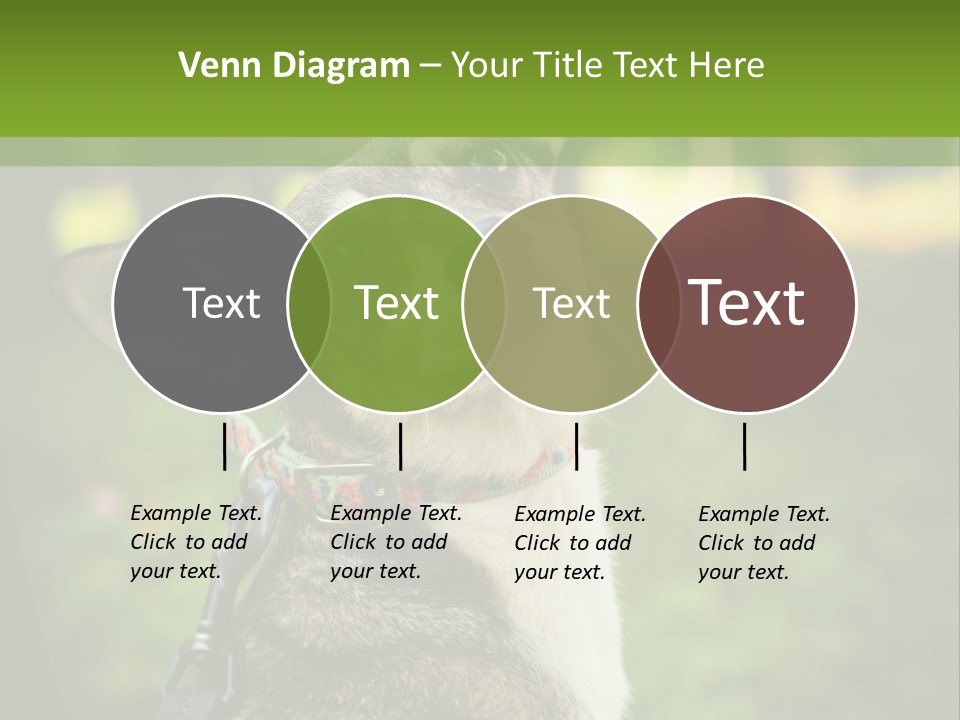 A Dog Sitting In The Grass Powerpoint Template PowerPoint Template