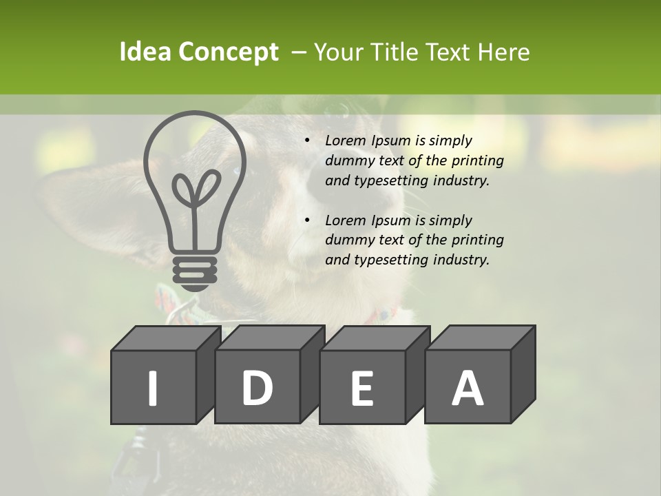 A Dog Sitting In The Grass Powerpoint Template PowerPoint Template