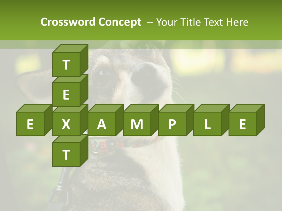 A Dog Sitting In The Grass Powerpoint Template PowerPoint Template