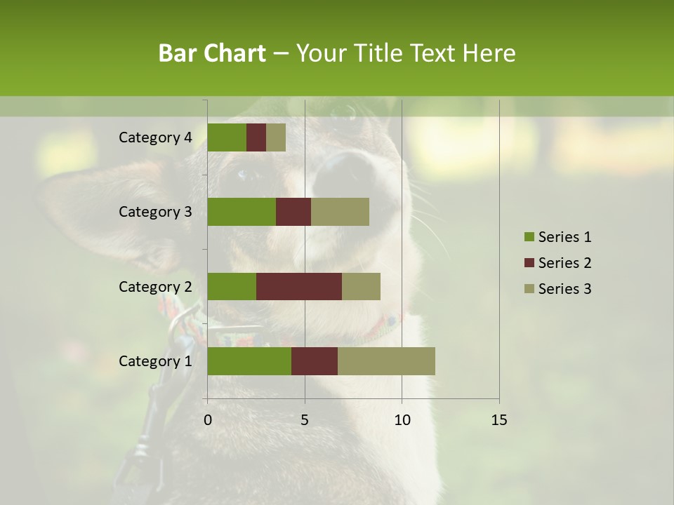 A Dog Sitting In The Grass Powerpoint Template PowerPoint Template