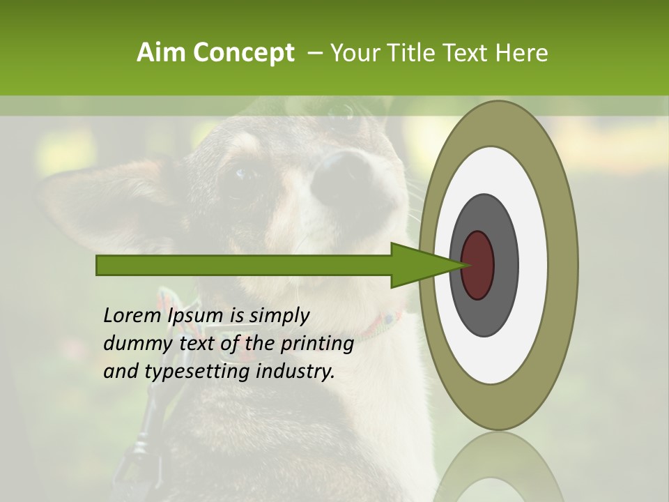 A Dog Sitting In The Grass Powerpoint Template PowerPoint Template