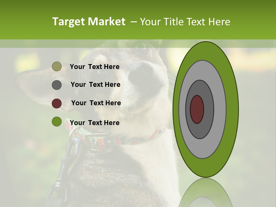 A Dog Sitting In The Grass Powerpoint Template PowerPoint Template