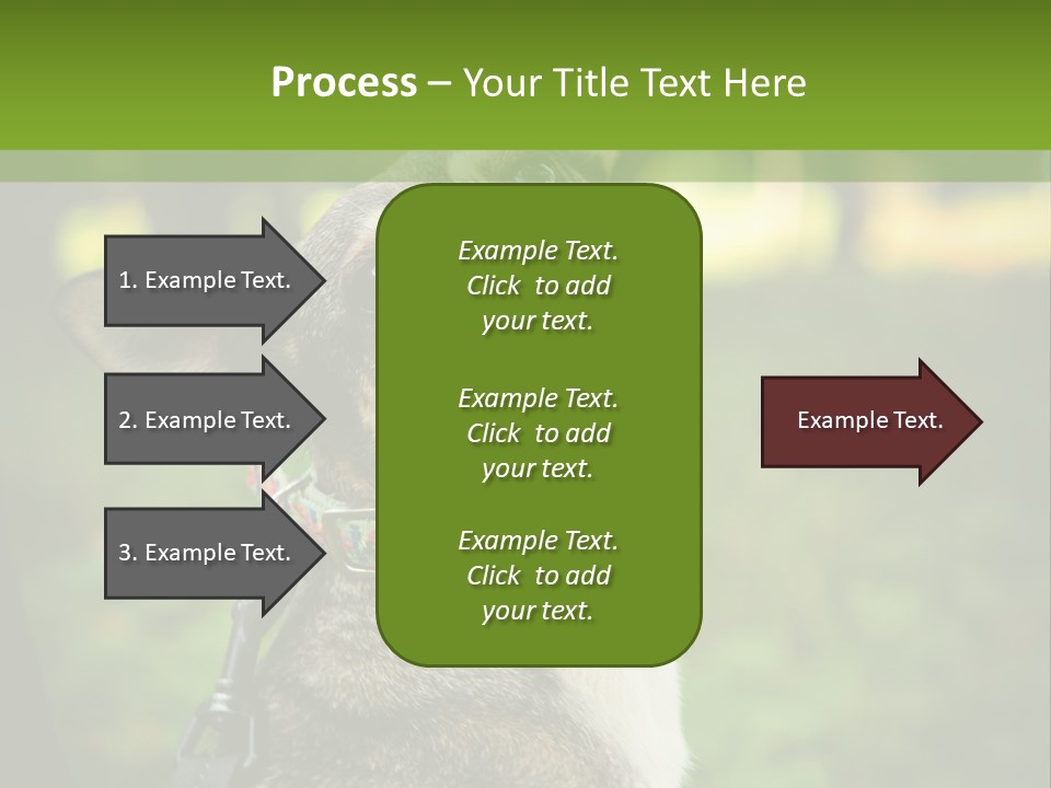 A Dog Sitting In The Grass Powerpoint Template PowerPoint Template