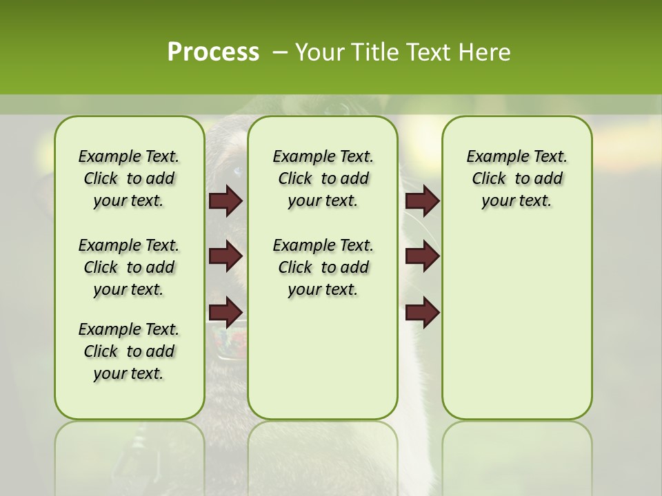A Dog Sitting In The Grass Powerpoint Template PowerPoint Template