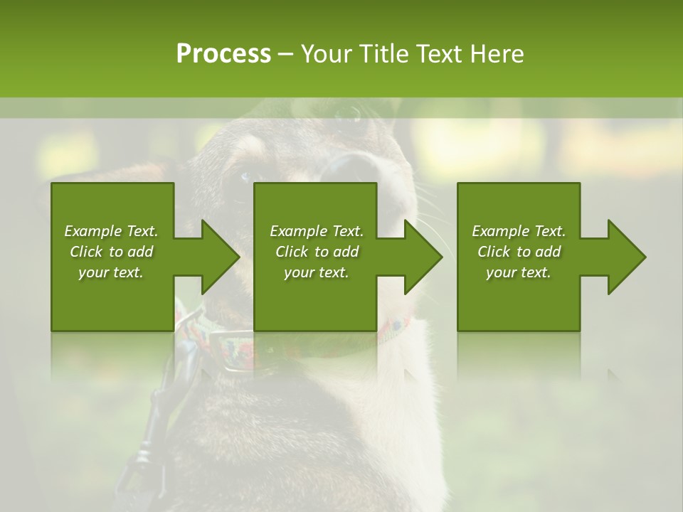 A Dog Sitting In The Grass Powerpoint Template PowerPoint Template
