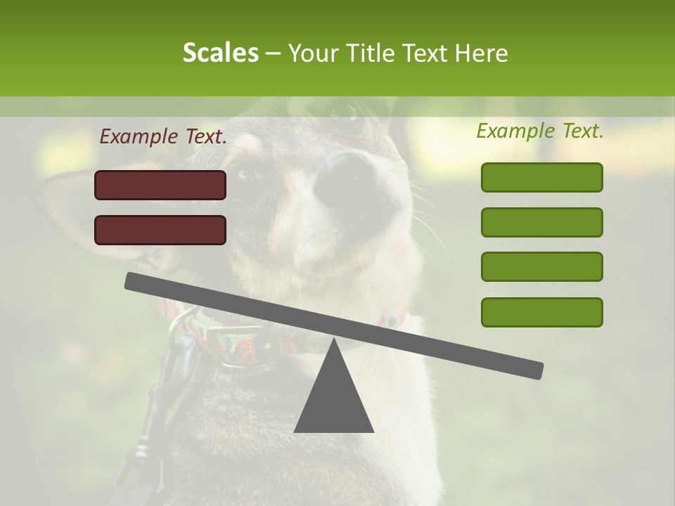 A Dog Sitting In The Grass Powerpoint Template PowerPoint Template