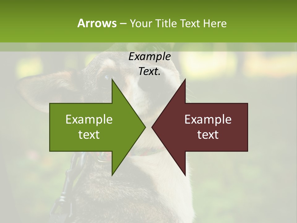 A Dog Sitting In The Grass Powerpoint Template PowerPoint Template