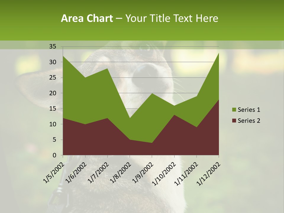 A Dog Sitting In The Grass Powerpoint Template PowerPoint Template