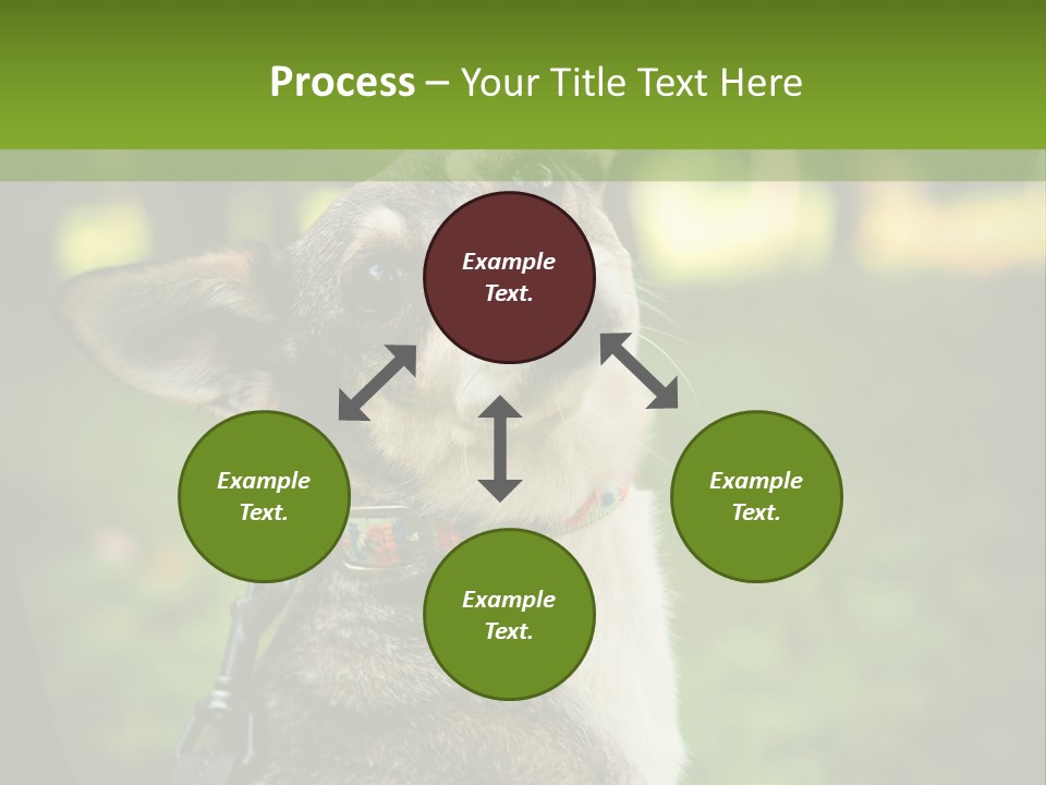 A Dog Sitting In The Grass Powerpoint Template PowerPoint Template