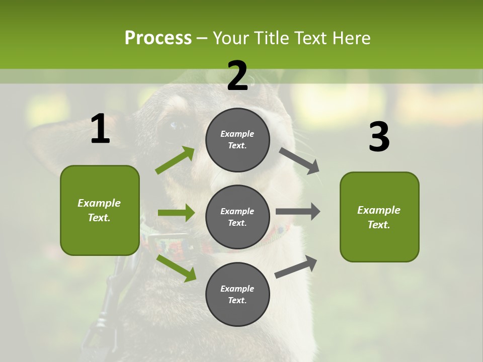 A Dog Sitting In The Grass Powerpoint Template PowerPoint Template