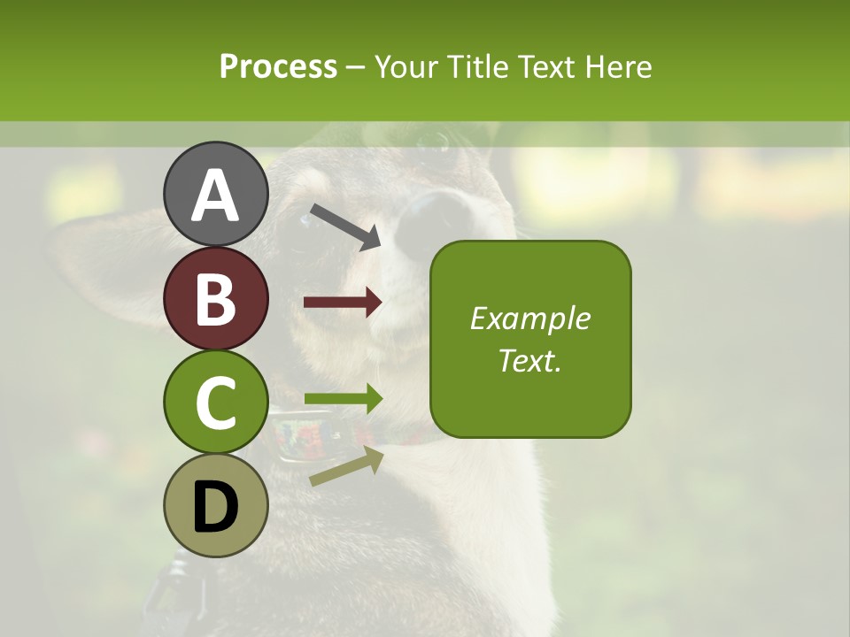 A Dog Sitting In The Grass Powerpoint Template PowerPoint Template