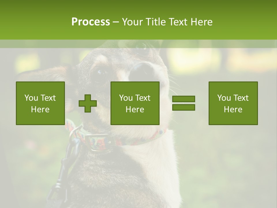 A Dog Sitting In The Grass Powerpoint Template PowerPoint Template