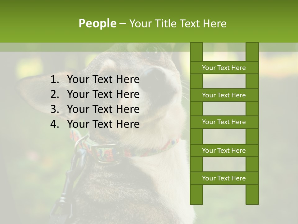 A Dog Sitting In The Grass Powerpoint Template PowerPoint Template