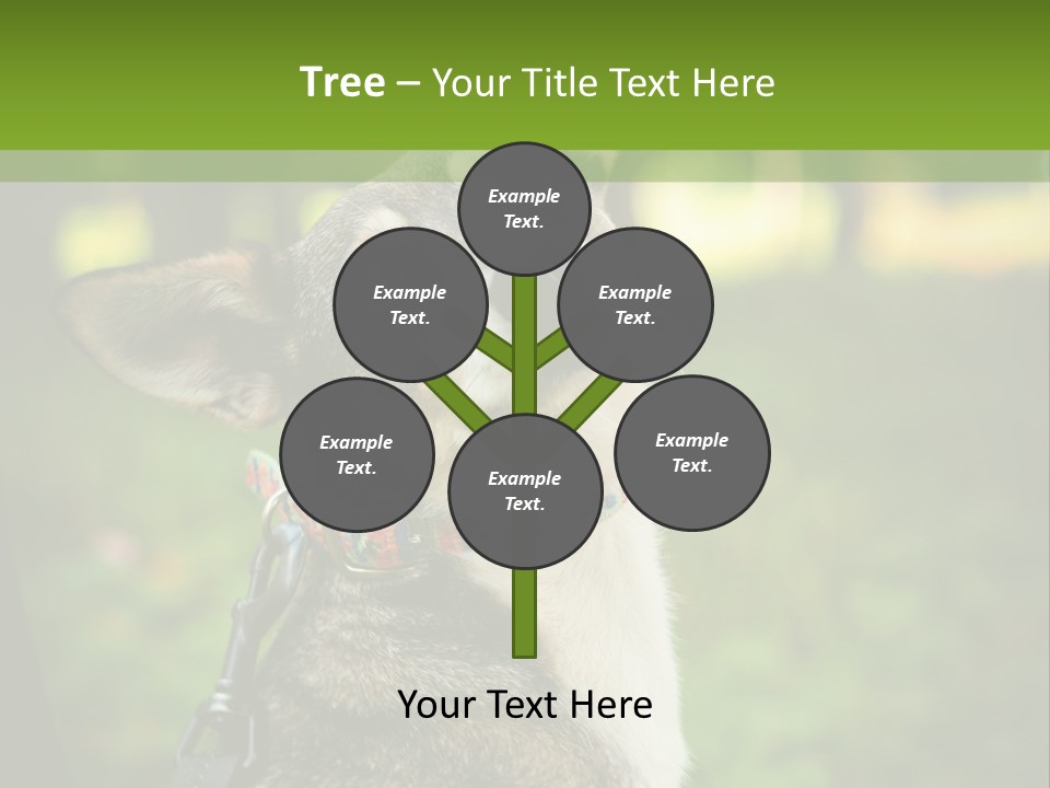 A Dog Sitting In The Grass Powerpoint Template PowerPoint Template
