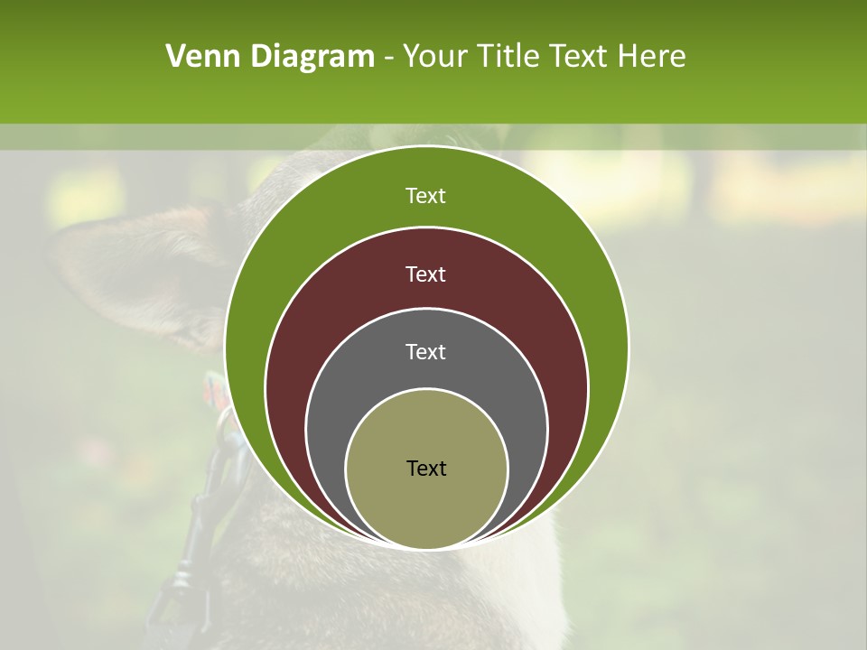 A Dog Sitting In The Grass Powerpoint Template PowerPoint Template