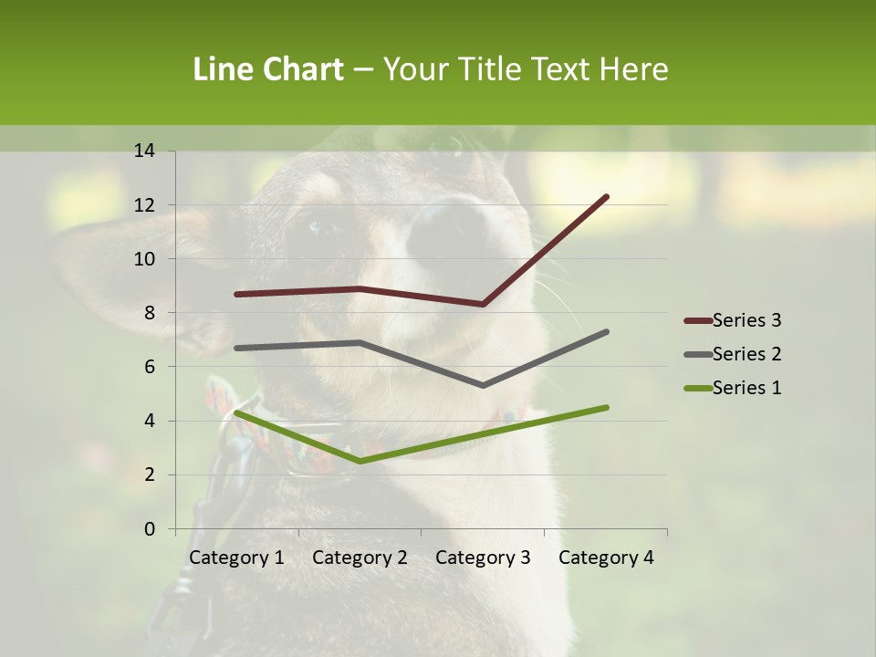 A Dog Sitting In The Grass Powerpoint Template PowerPoint Template