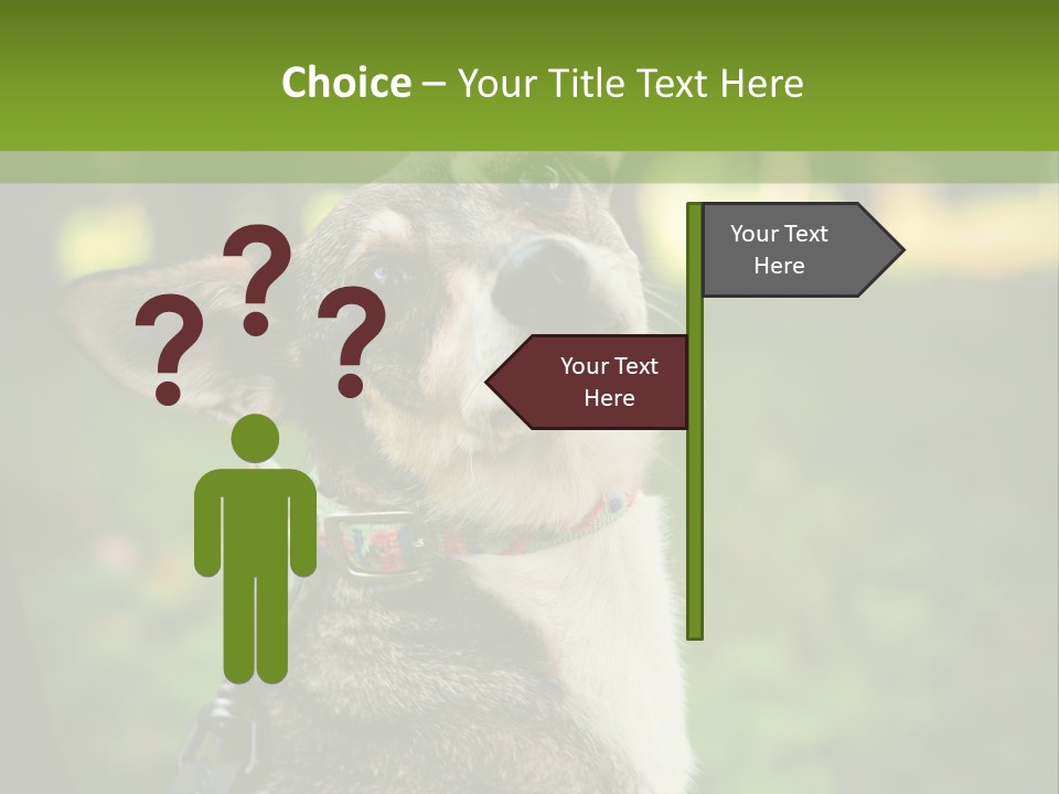 A Dog Sitting In The Grass Powerpoint Template PowerPoint Template