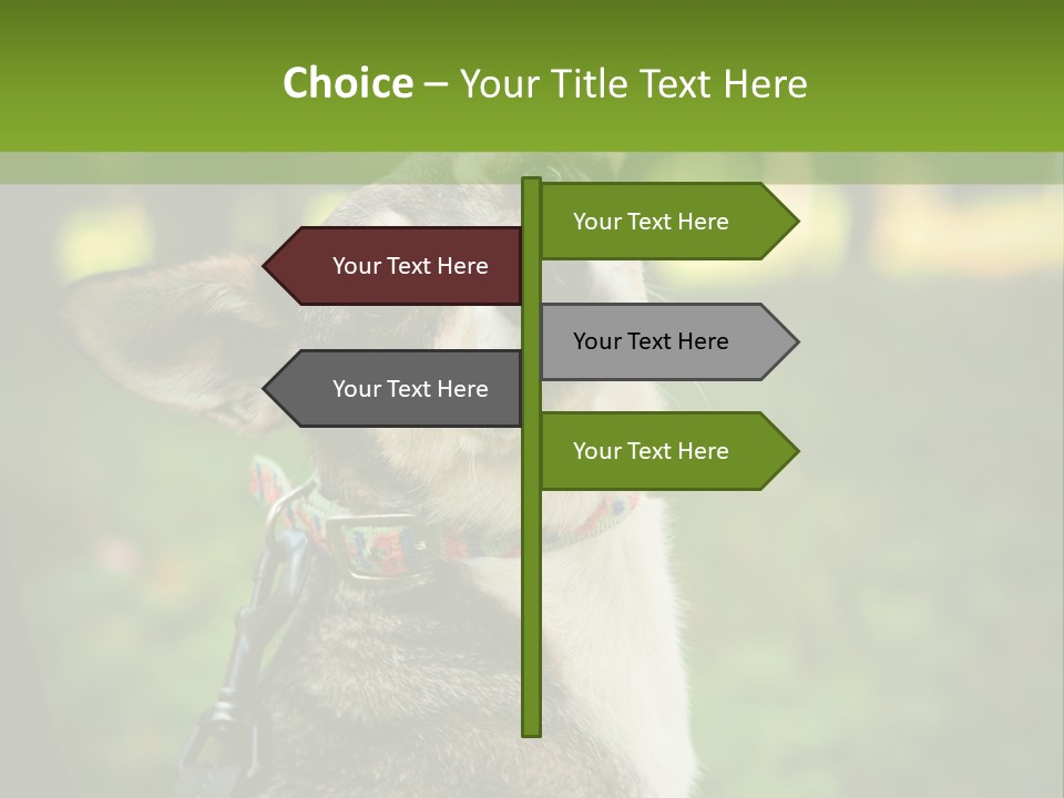 A Dog Sitting In The Grass Powerpoint Template PowerPoint Template