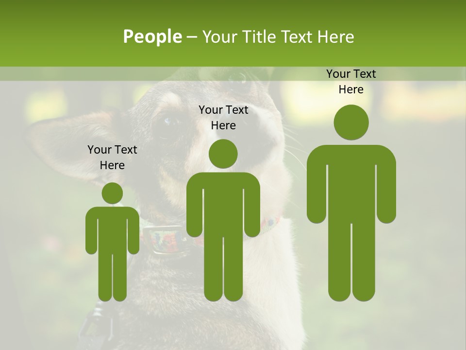 A Dog Sitting In The Grass Powerpoint Template PowerPoint Template