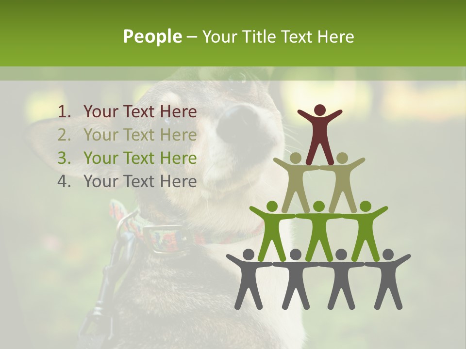 A Dog Sitting In The Grass Powerpoint Template PowerPoint Template