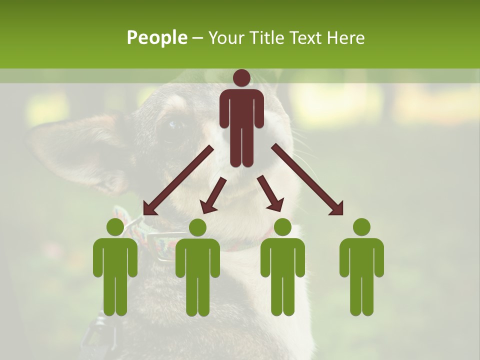 A Dog Sitting In The Grass Powerpoint Template PowerPoint Template
