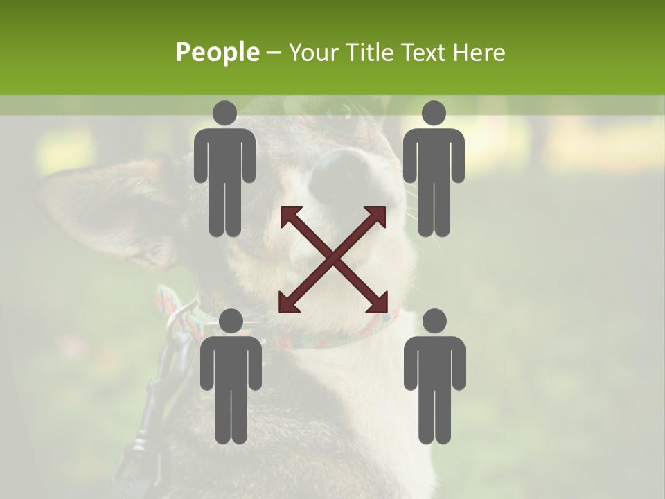 A Dog Sitting In The Grass Powerpoint Template PowerPoint Template