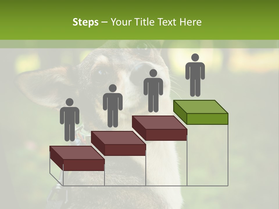 A Dog Sitting In The Grass Powerpoint Template PowerPoint Template