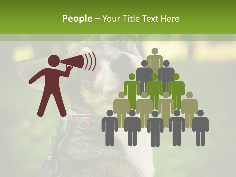 A Dog Sitting In The Grass Powerpoint Template PowerPoint Template