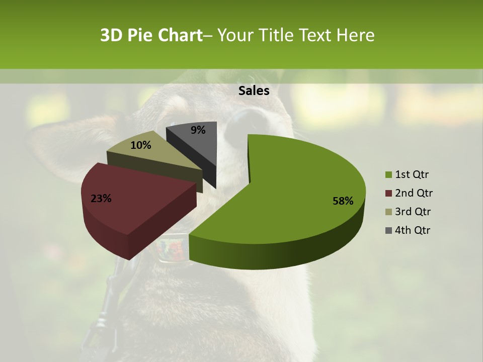 A Dog Sitting In The Grass Powerpoint Template PowerPoint Template