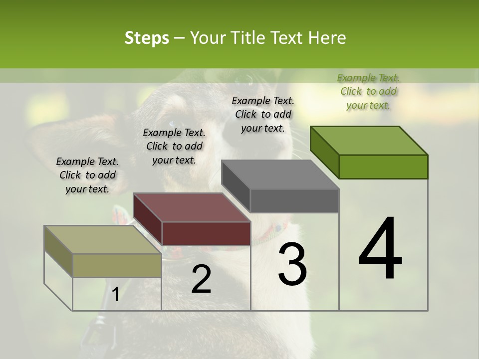 A Dog Sitting In The Grass Powerpoint Template PowerPoint Template