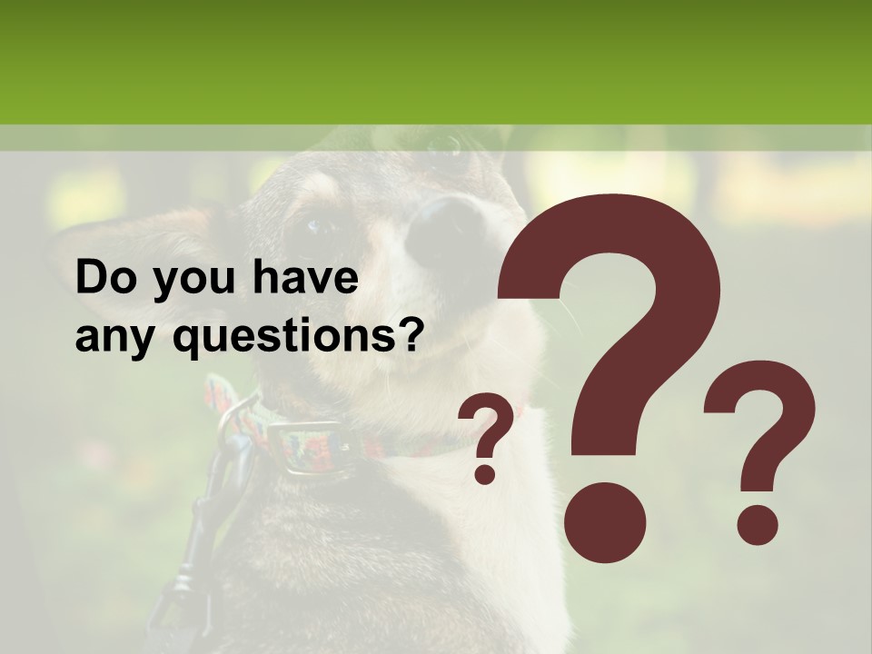 A Dog Sitting In The Grass Powerpoint Template PowerPoint Template