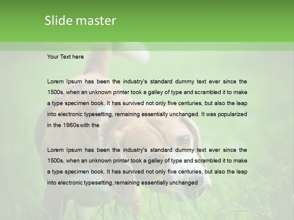 A Dog Is Running Through The Grass With A Frisbee In Its Mouth PowerPoint Template