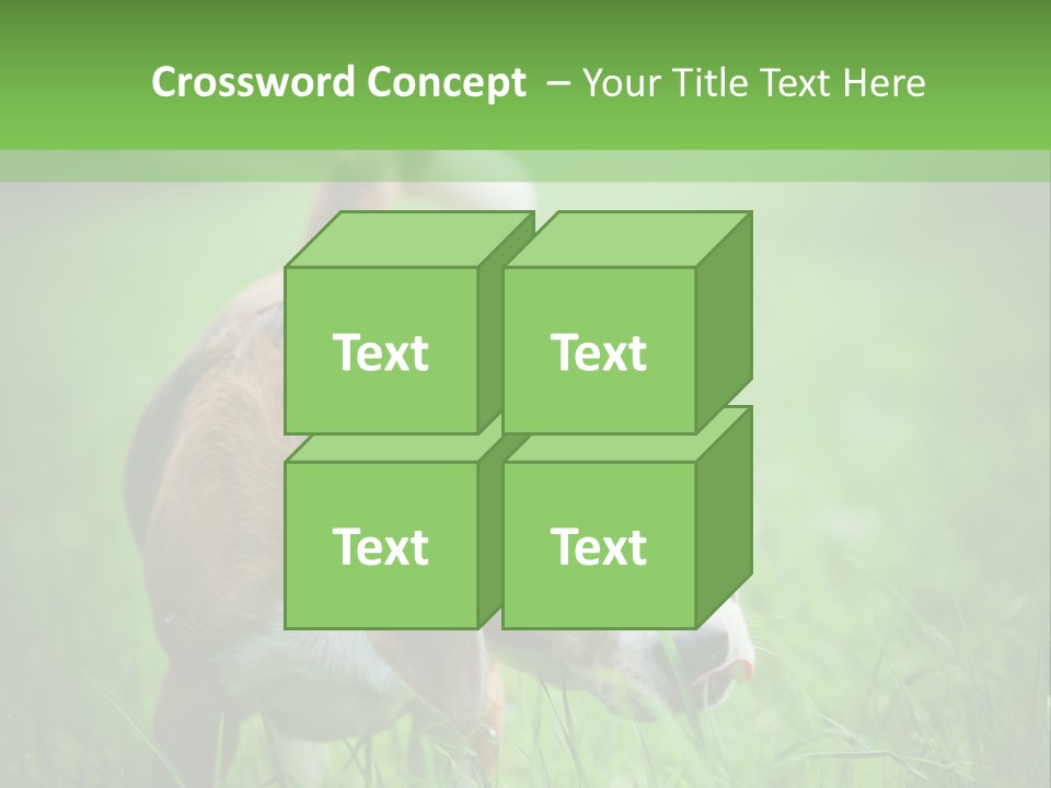 A Dog Is Running Through The Grass With A Frisbee In Its Mouth PowerPoint Template